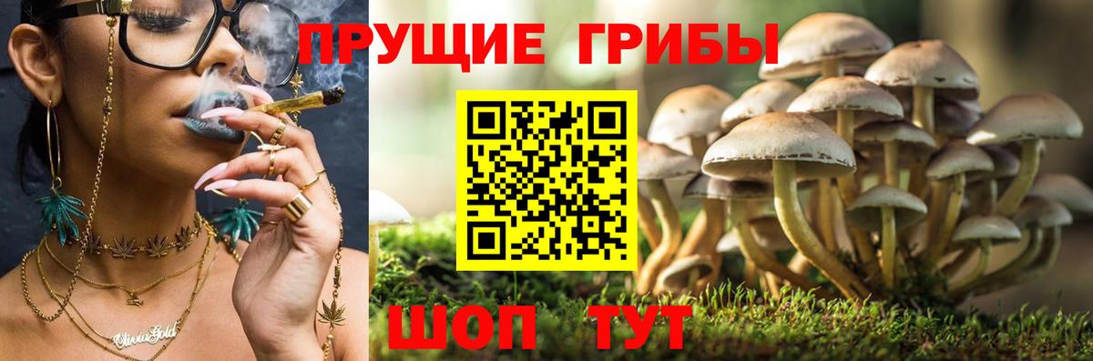 Псилоцибиновые грибы ЛСД Карпинск