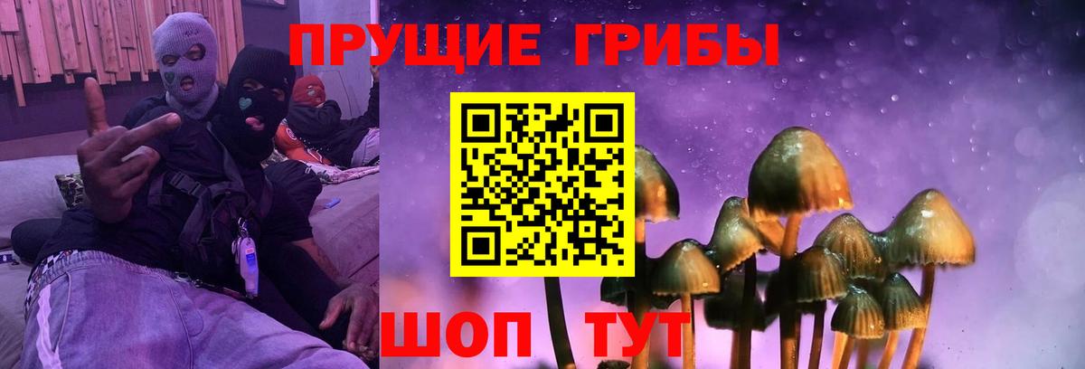 Карпинск  Псилоцибиновые грибы прущие грибы  Вход с VPN 